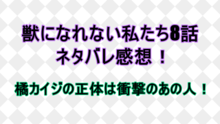 感想 タグの記事一覧 しらしる