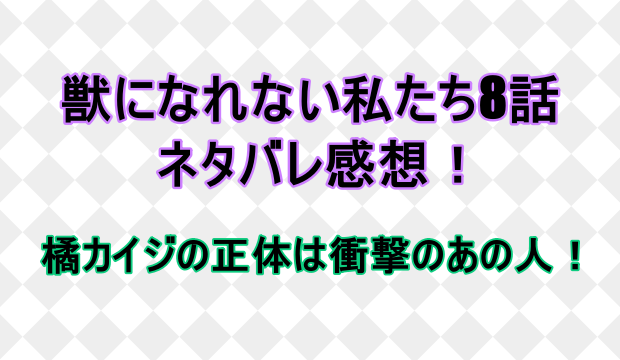 獣になれない私たち8話ネタバレ感想は橘カイジの正体は衝撃のあの人 しらしる