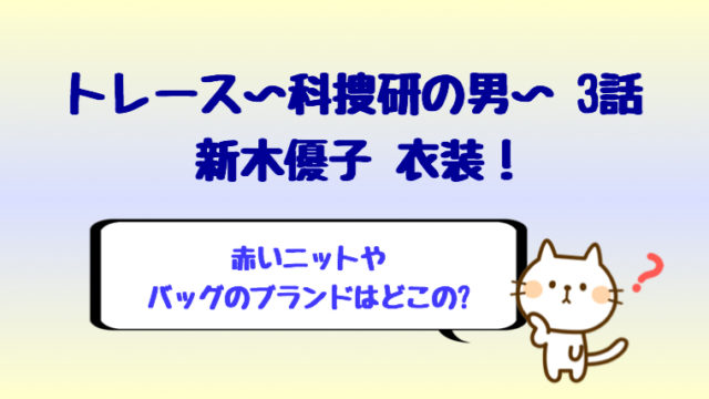 トレース3話新木優子の衣装 バッグや赤いニットはどこの しらしる