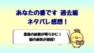 あなたの番です最終回ネタバレ感想は黒幕が残念 意外なラストに衝撃 しらしる