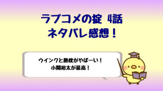 ドラマ ラブコメの掟ネタバレ感想3話 遊園地デートにキュン しらしる